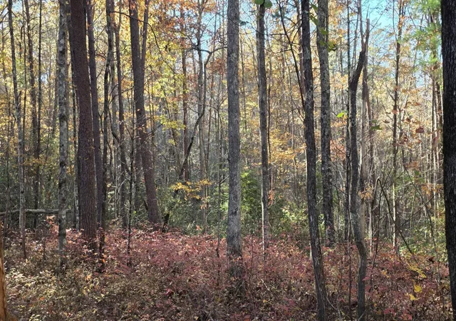 62nd image of 0 Tumbling Creek Road, Copperhill, TN 37317 | MLS# 3513868