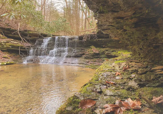 1st image of 0 Cherokee Trail, Wartburg, TN 37887 | MLS# 3513889