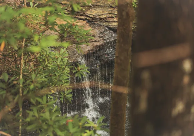 5th image of 0 Cherokee Trail, Wartburg, TN 37887 | MLS# 3513889