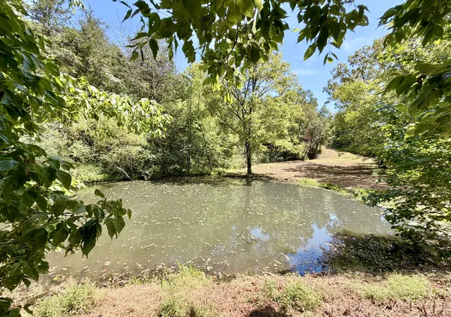 Photo 3 of Land for sale at 877 Hanna Branch Rd, Prospect, TN 38477 | MLS# 3514205 | Listing updated on 2026-09-22