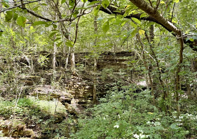 Photo 3 of Land for sale at 877 Hanna Branch Rd, Prospect, TN 38477 | MLS# 3514205 | Listing updated on 2026-09-22