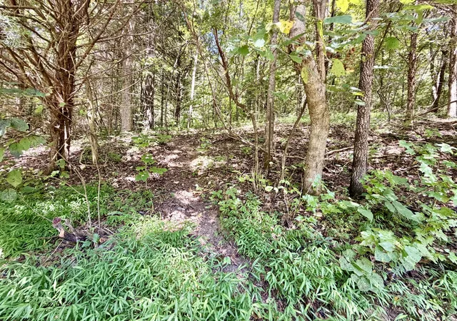 49th image of 877 Hanna Branch Rd, Prospect, TN 38477 | MLS# 3514205