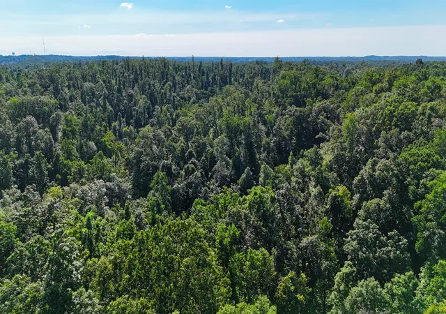 33rd image of 0 Lindsey Hollow Rd, Gallatin, TN 37066 | MLS# 3514242