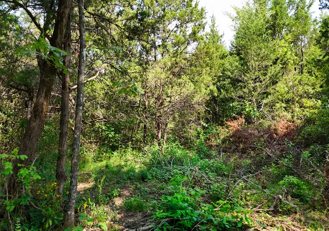 62nd image of 0 Cedar Grove Rd, Murfreesboro, TN 37127 | MLS# 3514569