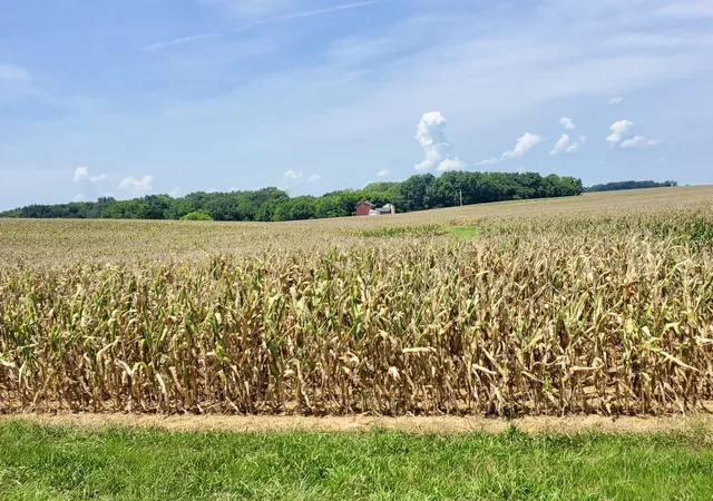 1st image of 1577 Adairville Rd, Franklin, KY 42134 | MLS# 3514416