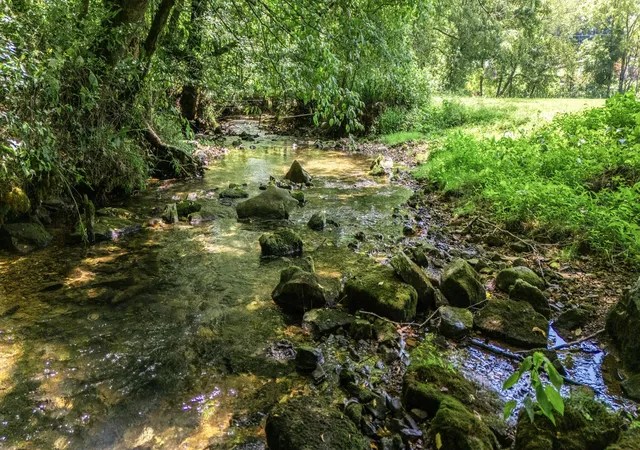 Land for sale at 2203 Stones River Rd, Woodbury, TN 37190 | MLS# 3516279