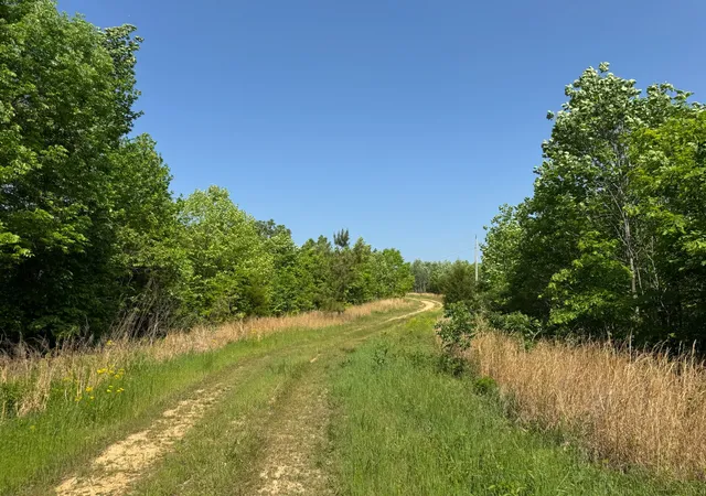Photo 3 of Single family home for sale at 465 James Zimmerman Rd, Hampshire, TN 38461 | MLS# 3603746 | Listing updated on 2026-10-01