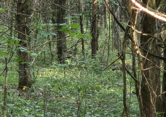 Photo 24 of Land for sale at 1 Murfreesboro Rd, Lebanon, TN 37090 | MLS# 3515155 | Listing updated on 2026-08-20
