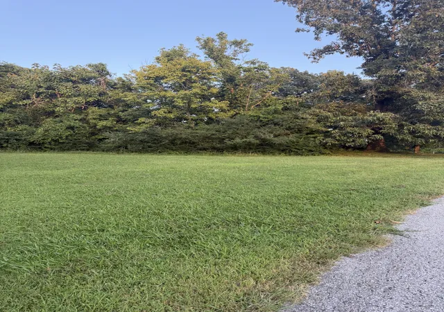 16th image of 105 Valley View St, Ashland City, TN 37015 | MLS# 3514448