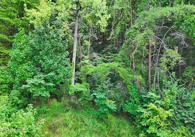 57th image of 3 Imperial Dr, Ooltewah, TN 37363 | MLS# 3514269