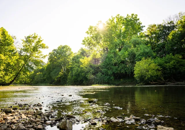 Photo 3 of Land for sale at 1099 Percy Harris Rd, White Bluff, TN 37187 | MLS# 3542996 | Listing updated on 2026-09-21