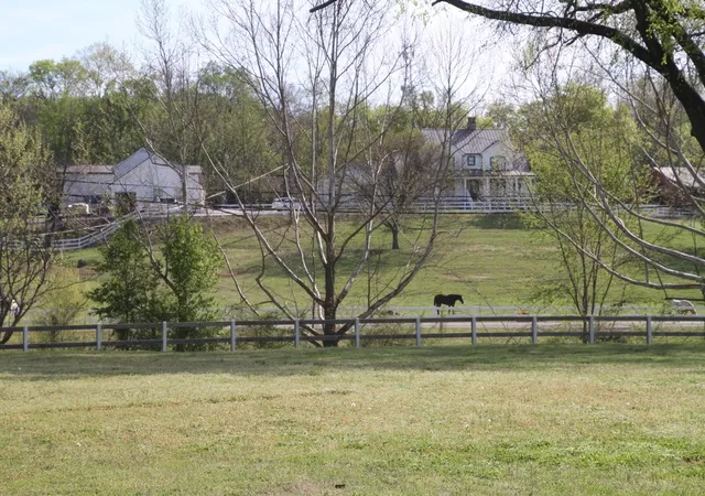 4th image of 7991 Old Springfield Pike, Goodlettsville, TN 37072 | MLS# 3514615