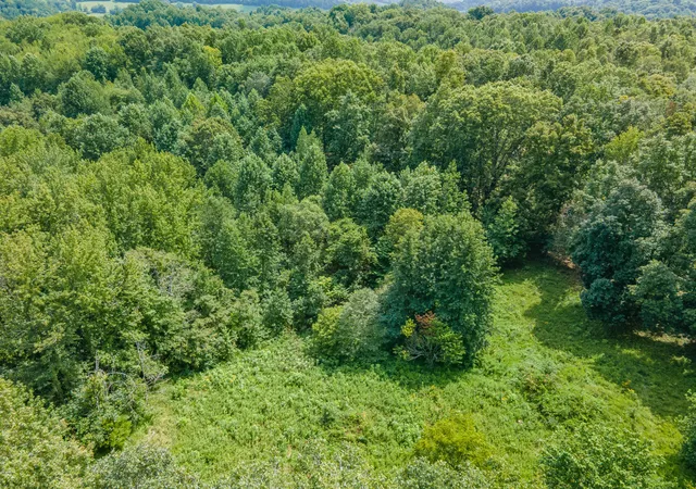 62nd image of 1049 Williams Hollow Rd, Pulaski, TN 38478 | MLS# 3516127