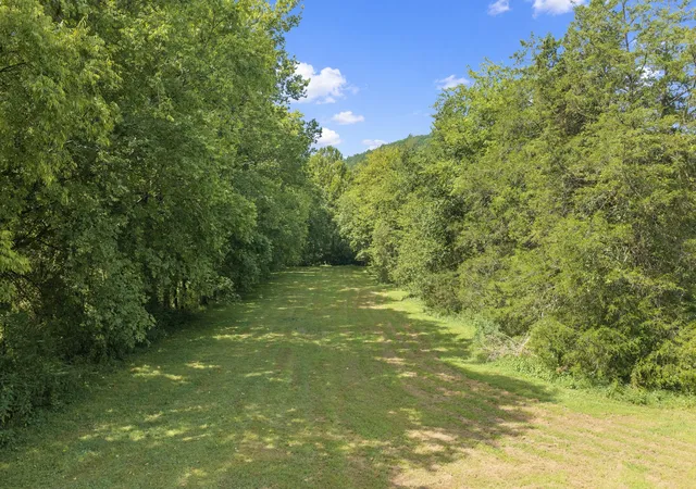 41st image of 25 Cardinal Rd, Linden, TN 37096 | MLS# 3516409