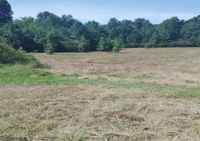 39th image of 2010 Rock Rd, Morrison, TN 37357 | MLS# 3514545