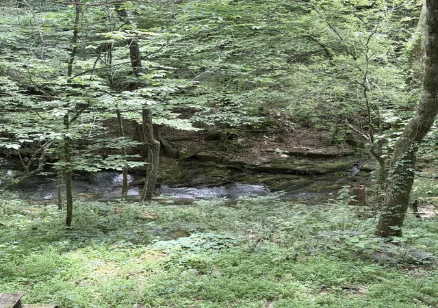 17th image of 0 Hidden Valley Rd, Huntland, TN 37345 | MLS# 3519197