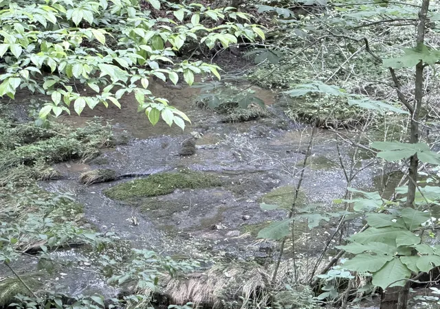 3rd image of 0 Hidden Valley Rd, Huntland, TN 37345 | MLS# 3519197