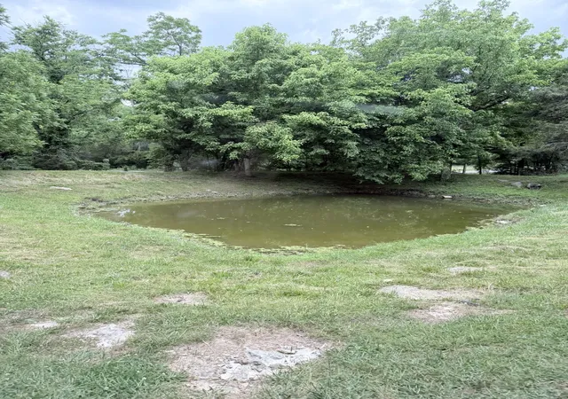 5th image of 0 Hidden Valley Rd, Huntland, TN 37345 | MLS# 3519197