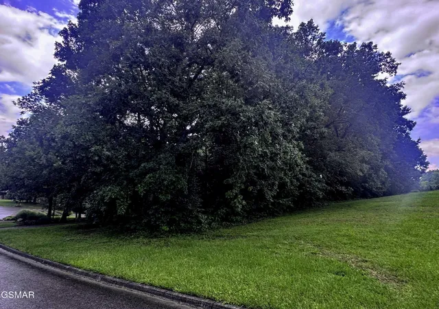 3rd image of 14 Boxwood Lane, Sevierville, TN 37862 | MLS# 3514568