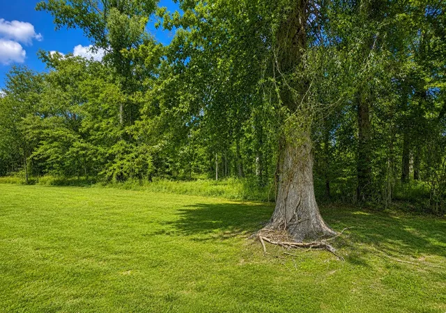 1st image of 0 Batchelor St, Clarksville, TN 37043 | MLS# 3514587