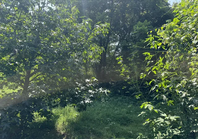 22nd image of 5460 Palmersville Hwy #89, Palmersville, TN 38241 | MLS# 3516585