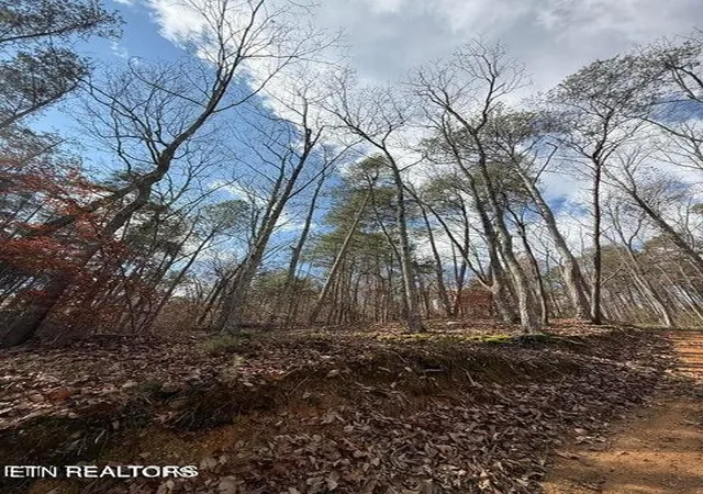 2nd image of 291 Palow Rd, Benton, TN 37307 | MLS# 3514714