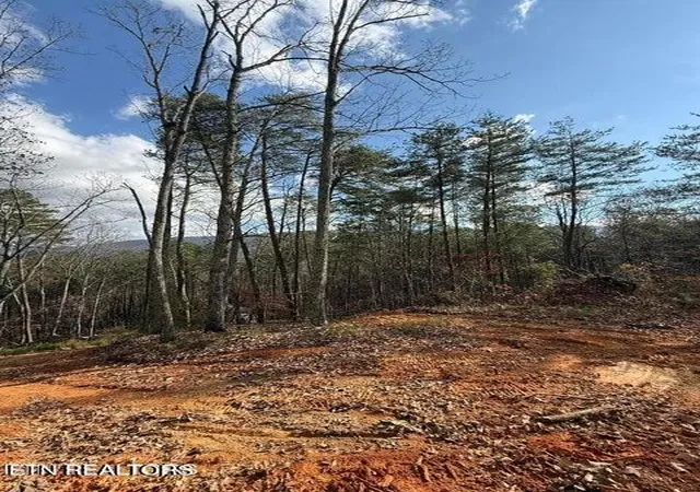 Photo 3 of Land for sale at 291 Palow Rd, Benton, TN 37307 | MLS# 3514714 | Listing updated on 2026-09-19