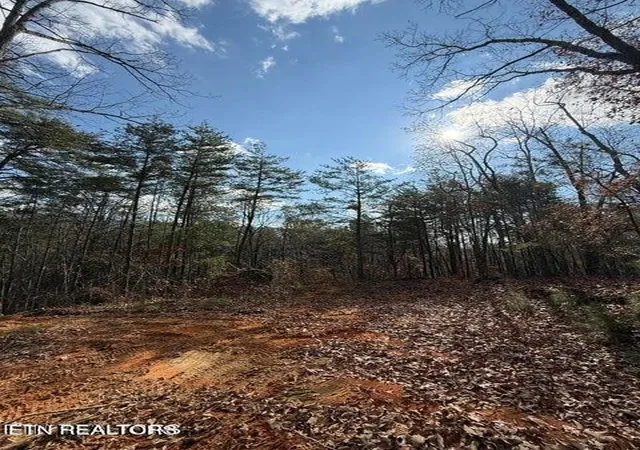 Photo 3 of Land for sale at 291 Palow Rd, Benton, TN 37307 | MLS# 3514714 | Listing updated on 2026-09-19