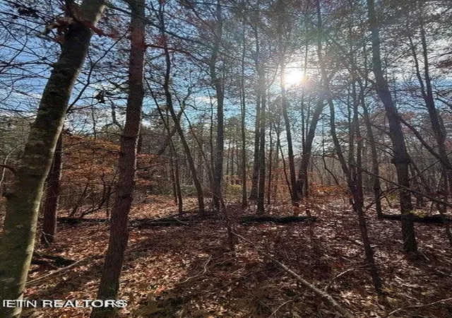 Photo 4 of Land for sale at 291 Palow Rd, Benton, TN 37307 | MLS# 3514714 | Listing updated on 2026-09-19