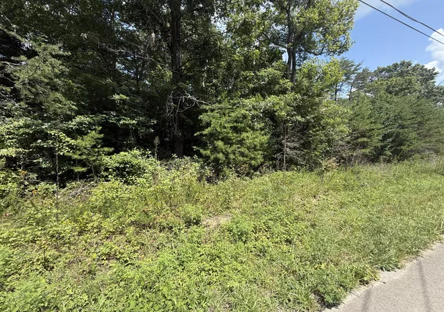 1st image of 425 Woodland Avenue, Altamont, TN 37301 | MLS# 3514720