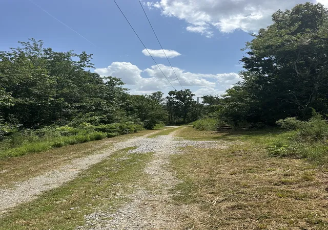3rd image of 258 Jack Plank Rd, Spring City, TN 37381 | MLS# 3515221