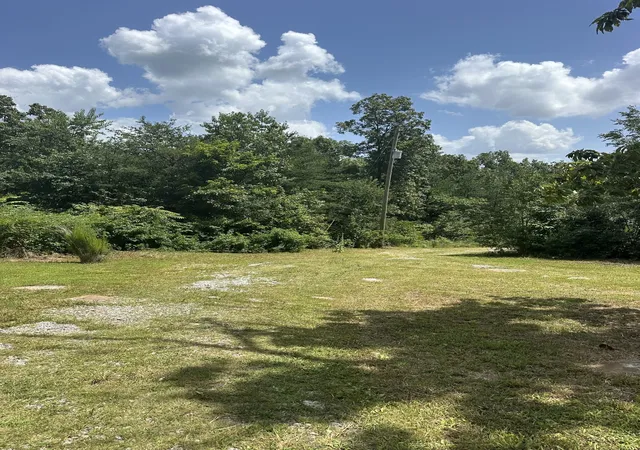 4th image of 258 Jack Plank Rd, Spring City, TN 37381 | MLS# 3515221