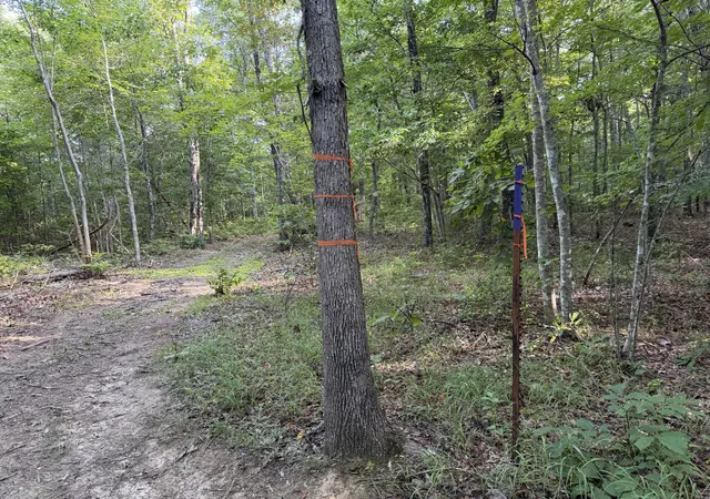 1st image of 2603 Northcutts Cove Road, Beersheba Springs, TN 37305 | MLS# 3519106