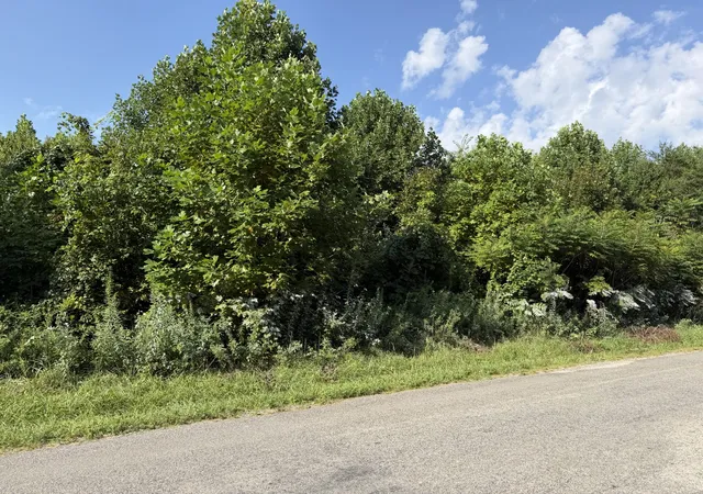 2nd image of 2603 Northcutts Cove Road, Beersheba Springs, TN 37305 | MLS# 3519106