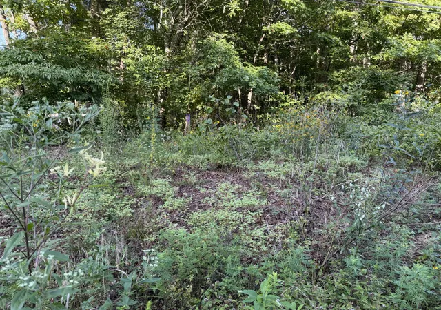 21st image of 2603 Northcutts Cove Road, Beersheba Springs, TN 37305 | MLS# 3519106