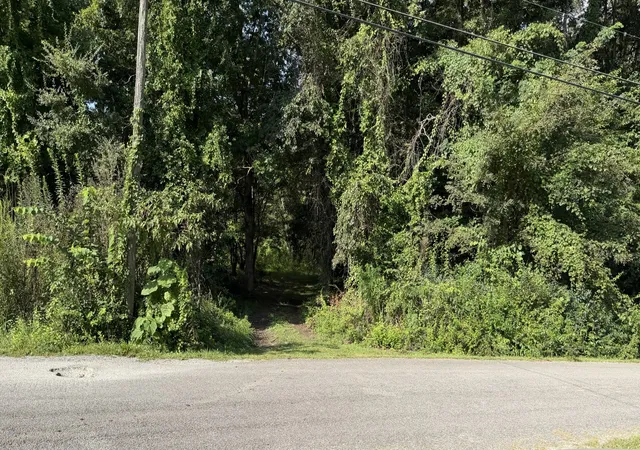 5th image of 2603 Northcutts Cove Road, Beersheba Springs, TN 37305 | MLS# 3519106