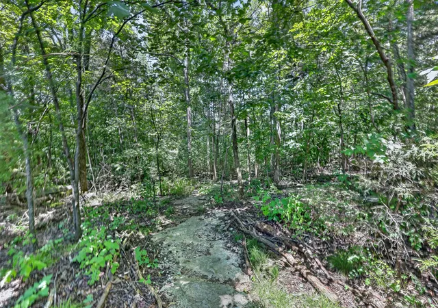 39th image of 253 Oak Point Ln, Mount Juliet, TN 37122 | MLS# 3516133