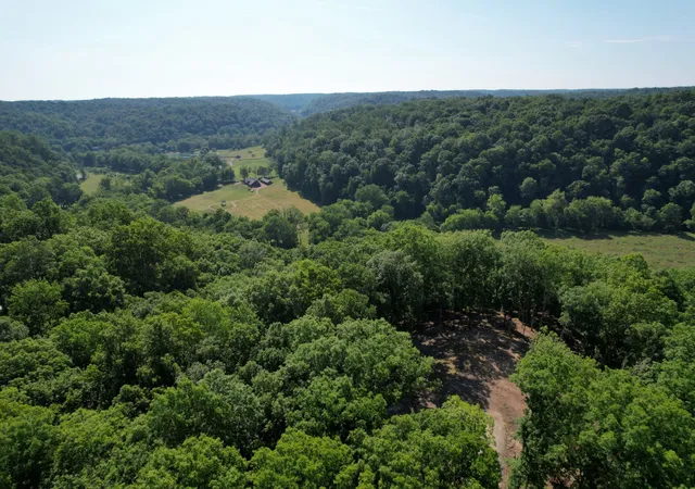 2nd image of 7506 Ivorybill Ln, Franklin, TN 37064 | MLS# 3518747