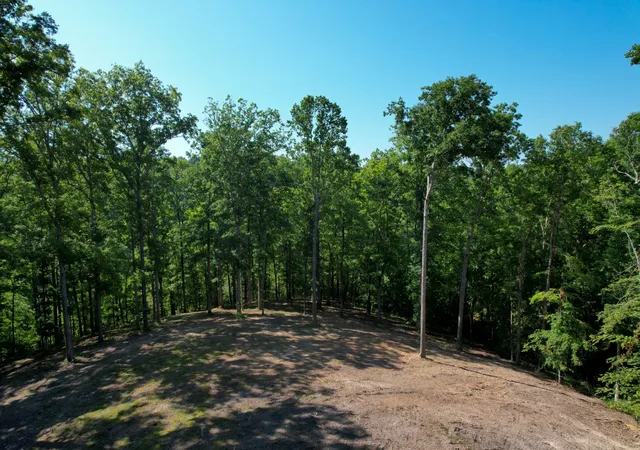 4th image of 7506 Ivorybill Ln, Franklin, TN 37064 | MLS# 3518747