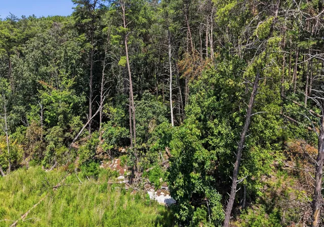 3rd image of 8381 Big Sky Lane, Signal Mountain, TN 37377 | MLS# 3514916