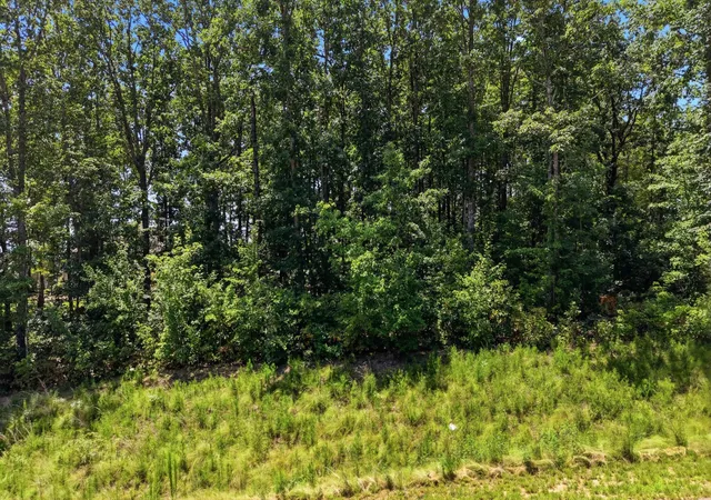 2nd image of 1402 Bent Hickory Road, Signal Mountain, TN 37377 | MLS# 3514915