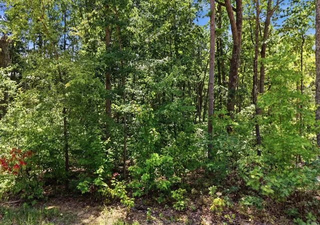4th image of 8354 Bear Paw Trail, Signal Mountain, TN 37377 | MLS# 3514918