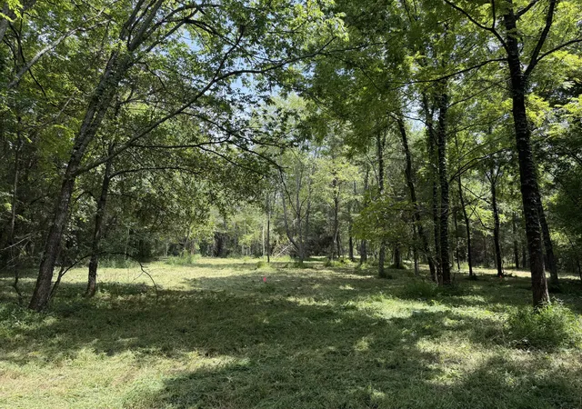 13th image of 2821 Double Branch Rd, Columbia, TN 38401 | MLS# 3514950