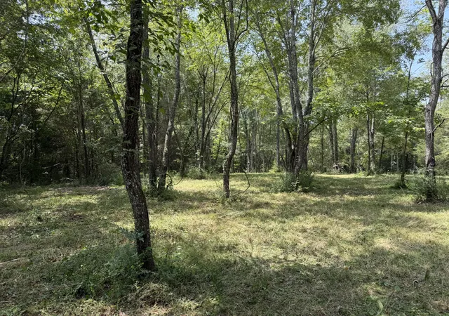 Photo 3 of Land for sale at 2821 Double Branch Rd, Columbia, TN 38401 | MLS# 3514950 | Listing updated on 2026-08-20