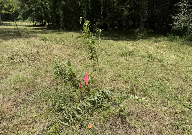 Photo 3 of Land for sale at 2821 Double Branch Rd, Columbia, TN 38401 | MLS# 3514950 | Listing updated on 2026-08-20