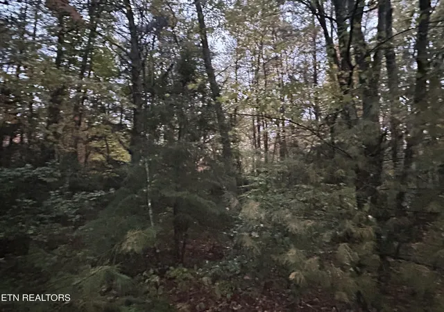 1st image of 0 Wilder Rd, Clarkrange, TN 38553 | MLS# 3514970