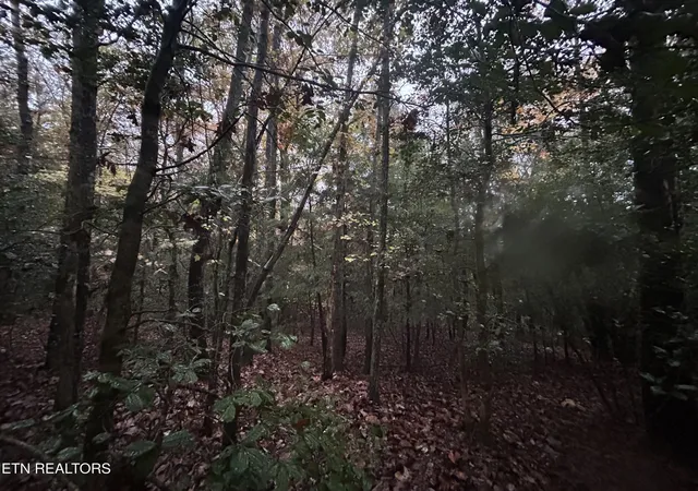 2nd image of 0 Wilder Rd, Clarkrange, TN 38553 | MLS# 3514970