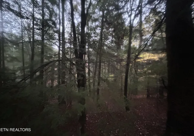 3rd image of 0 Wilder Rd, Clarkrange, TN 38553 | MLS# 3514970