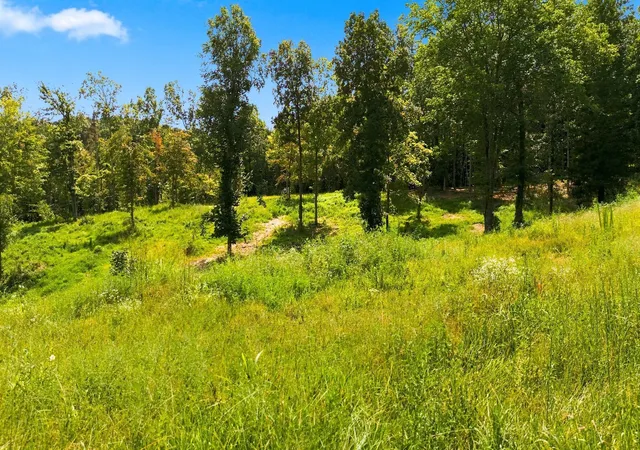 Photo 2 of Land for sale at 1086 Red Oak Road, Charlotte, TN 37036 | MLS# 3527777 | Listing updated on 2026-08-27