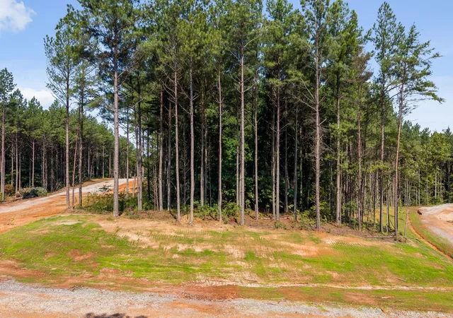 5th image of 2020 Harmony Street, Guild, TN 37340 | MLS# 3514979